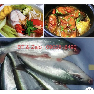 Cá hú sống làm sạch(1kg)