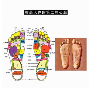 Máy Massage Chân EMS Có Điều Khiển