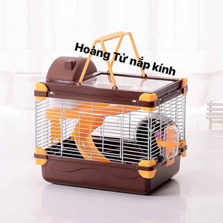lồng Ếch , Hoàng Tử nắp kính