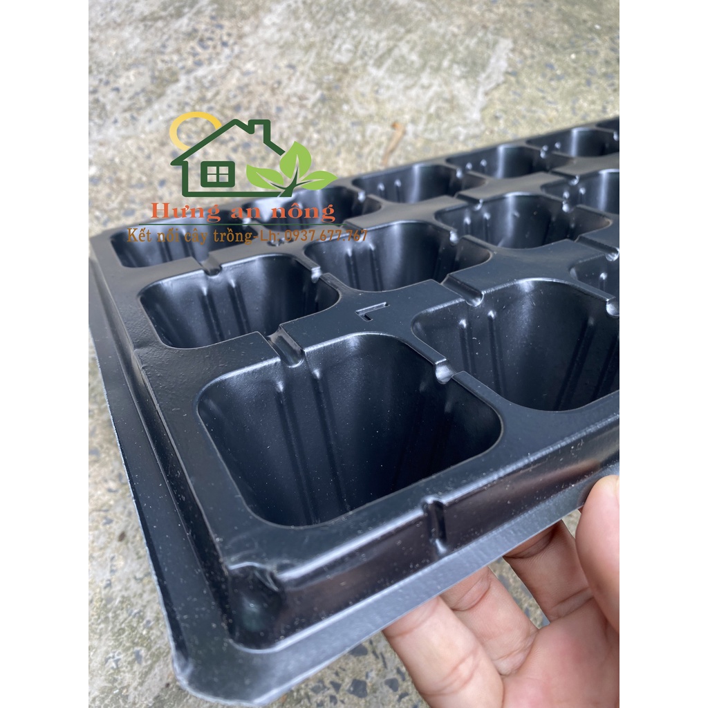 Khay vỉ ươm - Set 5/10 khay chữ nhật 21/32 Ô VUÔNG - dùng chứa chậu ươm trồng sen đá xương rồng cây cảnh, lan con