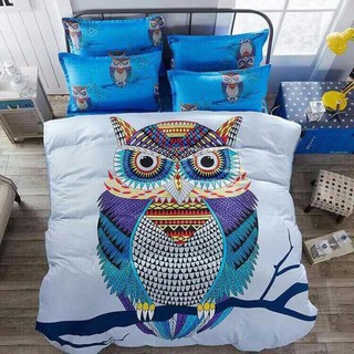 Sét poly nhập con cú mèo