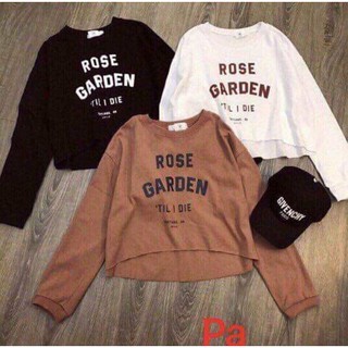 Crop ROSE GARDEN tay dài