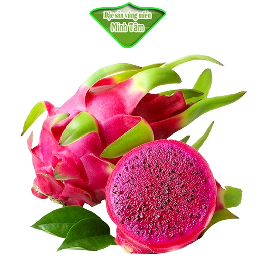 Thanh long ruột đỏ tươi ngon loại 1 [CHỈ GIAO TPHCM]