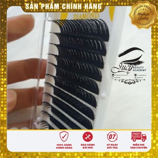 Mi Hoa hồng Đen Chính Hãng