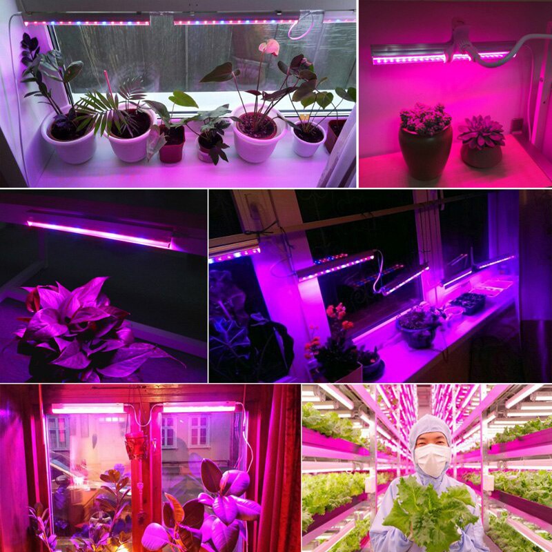 Dây Đèn LED 5M 60 Bóng Dùng Để Trồng Cây Trong Nhà Kính