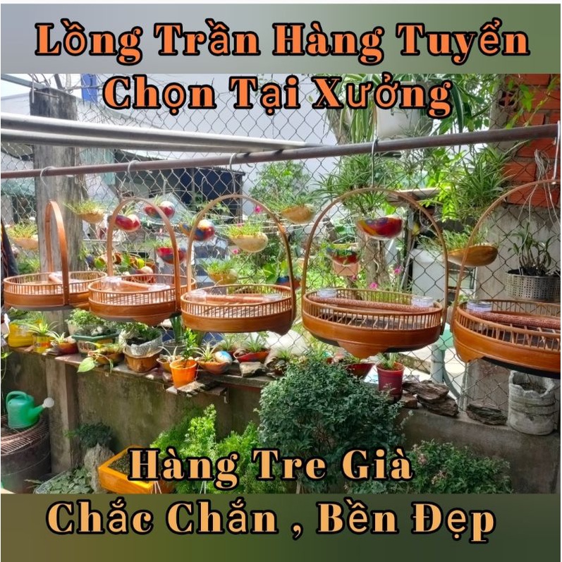 Lồng Trần Nuôi Chim (cu gáy, chích chòe, khướu, họa mi, chào mào...)