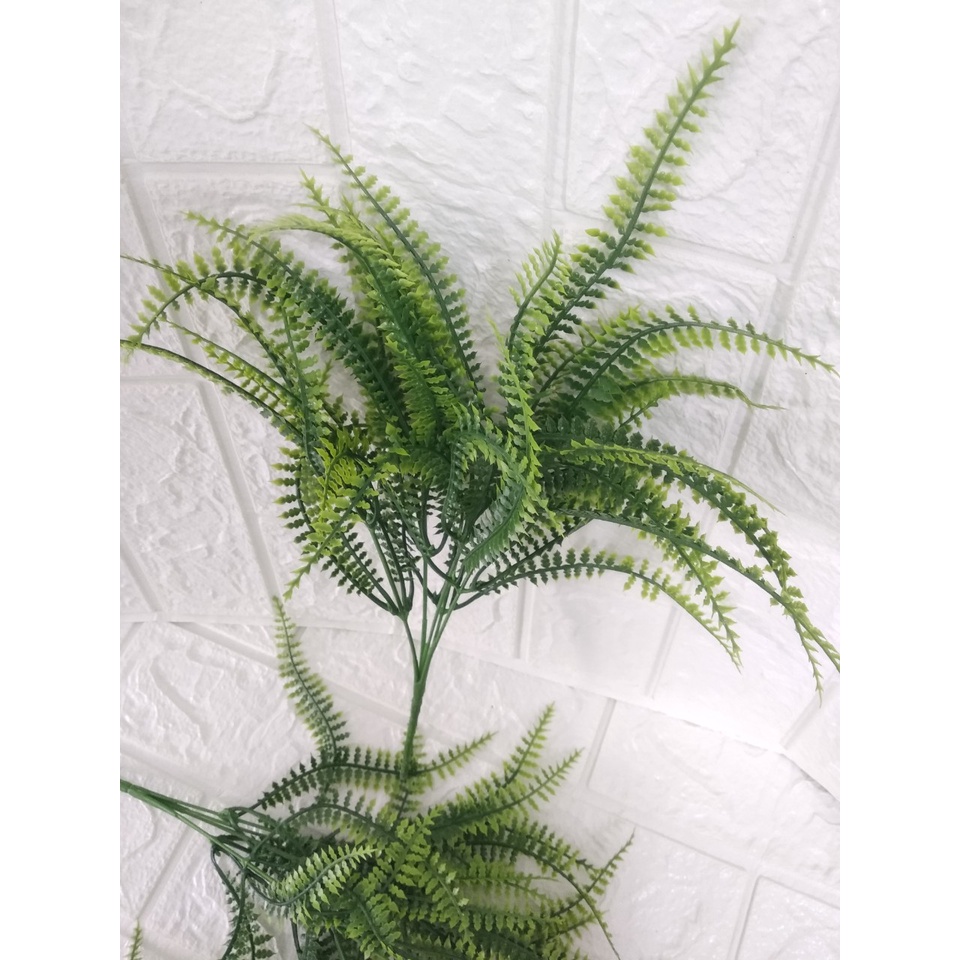Cụm dương xỉ 7 nhánh trang trí