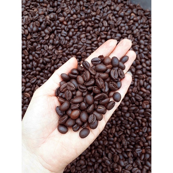 1KG Cà phê rang nguyên chất không pha trộn - cà phê rang pha phin sạch 100%, cà phê từ Tây Nguyên, cà phê Lâm Đồng | BigBuy360 - bigbuy360.vn