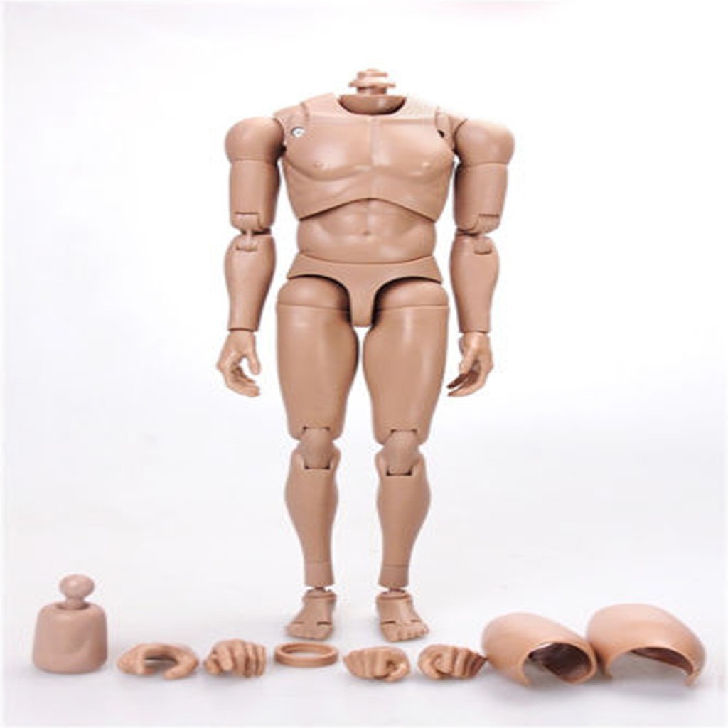 Mô hình cơ thể nam tông da châu Á MX02-B tỷ lệ 1/6