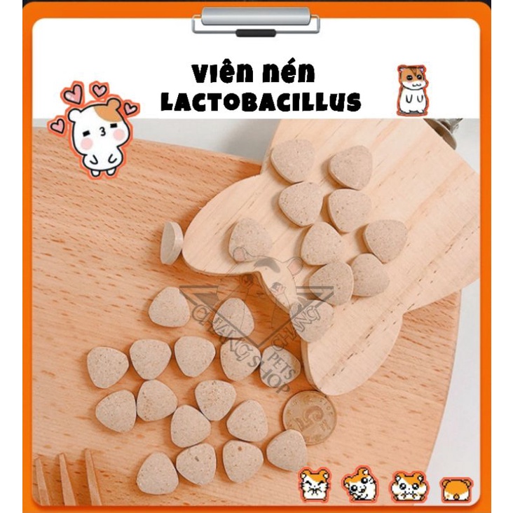 1 viên vitamin nén Lactobacillus