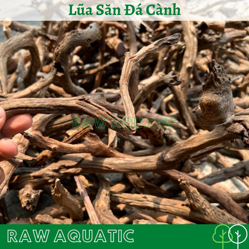 Lũa Săn Đá Cành Trang Trí, Setup Bể Cá Cảnh, Bể Thủy Sinh