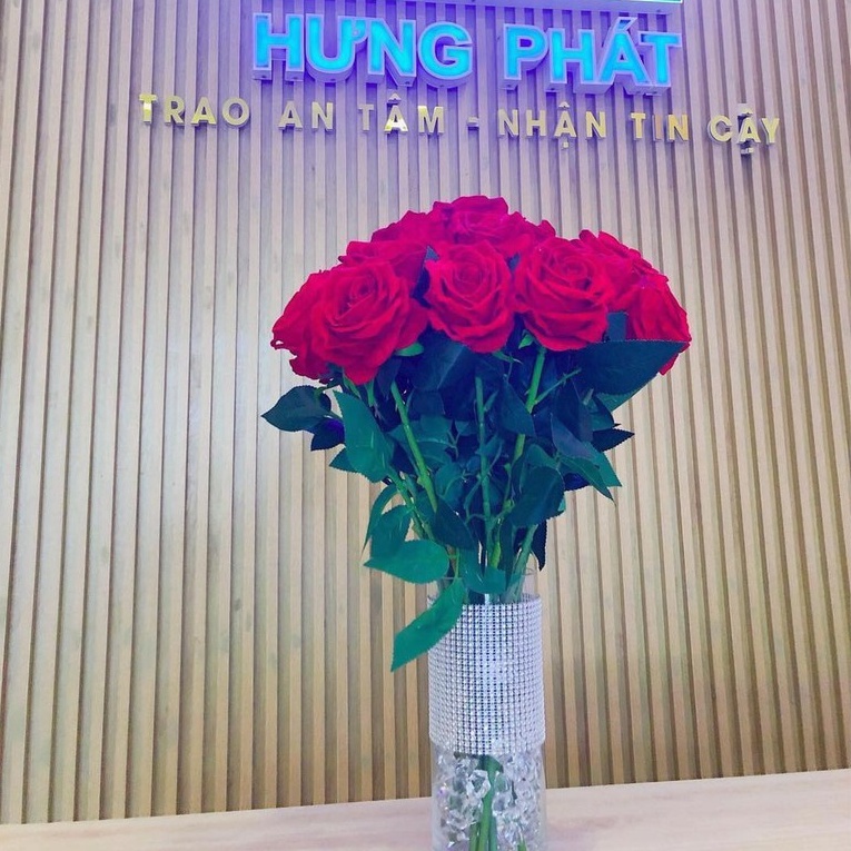 Hoa Hồng Nhung Giả bông to cành dài 70cm đường kính bông 10cm chất liệu nỉ nhung, phù hợp với mọi không gian