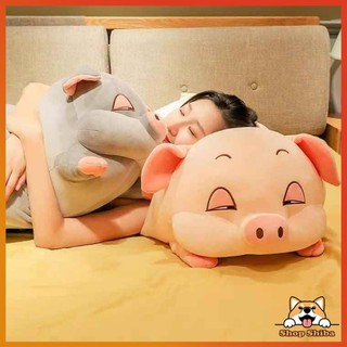 Gấu Bông Heo Lười Mắt Híp Size 70cm -