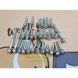 Bộ ốc lốc máy v2 đầu trụ mẫu thái dành cho nhiều dòng xe