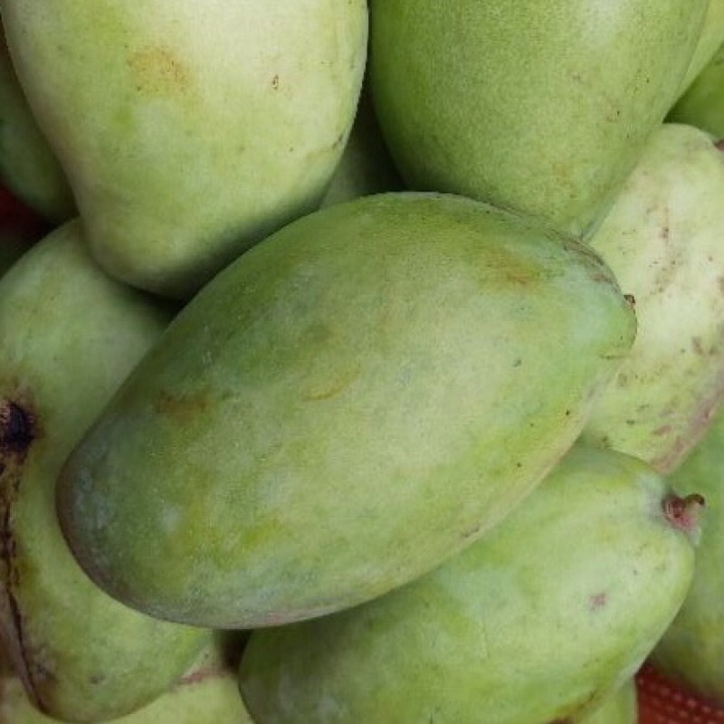 1 trái xoài keo ngon như hình