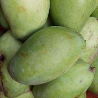 1 trái xoài keo ngon như hình