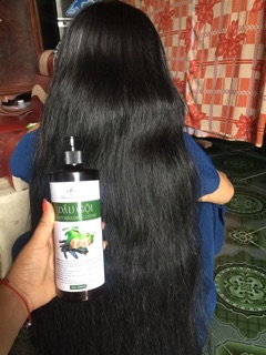 Dầu gội bồ kết