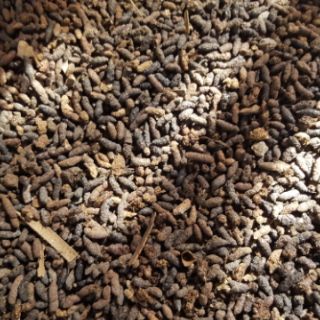 Phân dơi nguyên chất Thuận Phát gói 75gr