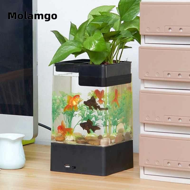 MOLAMGO  Bể Cá Cảnh Mini Tự Thay Nước Tiện Lợi