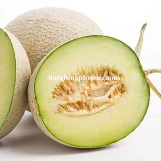 HẠT GIỐNG DƯA LƯỚI RUỘT XANH