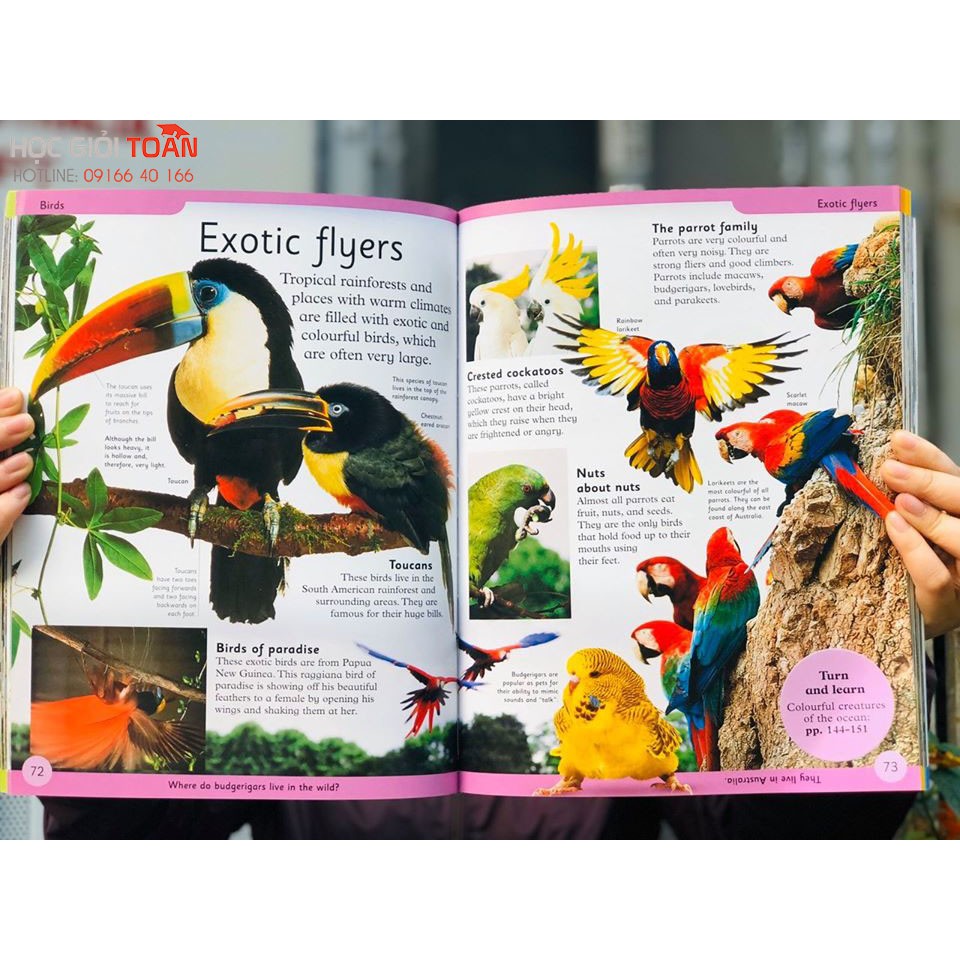 Sách &quot; First Animal Encyclopedia - Bách khoa toàn thư đầu tiên về động vật DK 6+&quot;