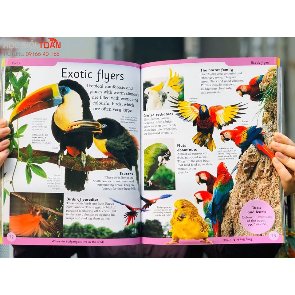 Sách " First Animal Encyclopedia - Bách khoa toàn thư đầu tiên về động vật DK 6+"