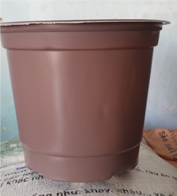Set 50 Chậu nhựa dẻo trồng cây ươm cây màu nâu đỏ (2 size:180- 200)
