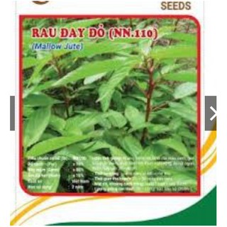 HẠT GIỐNG RAU ĐAY CAO SẢN gói 20gram