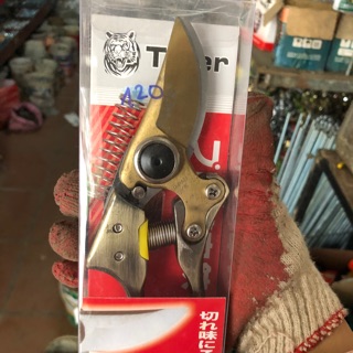 Kéo tỉa cây cành tiger