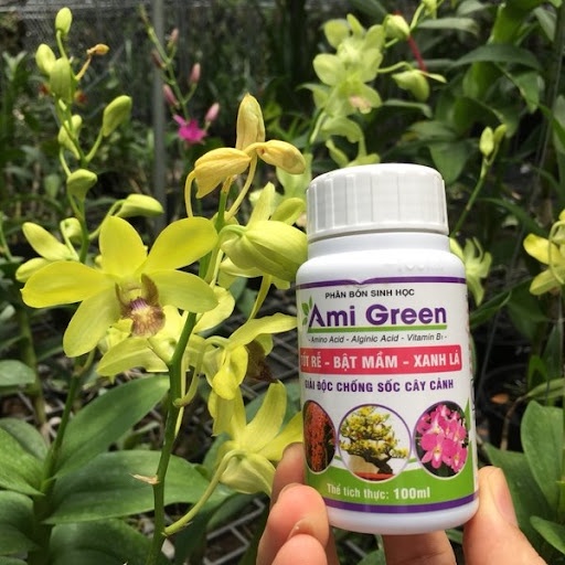Ami Green 100ml – Kích rễ, kích chồi, giải độc phân thuốc cho cây