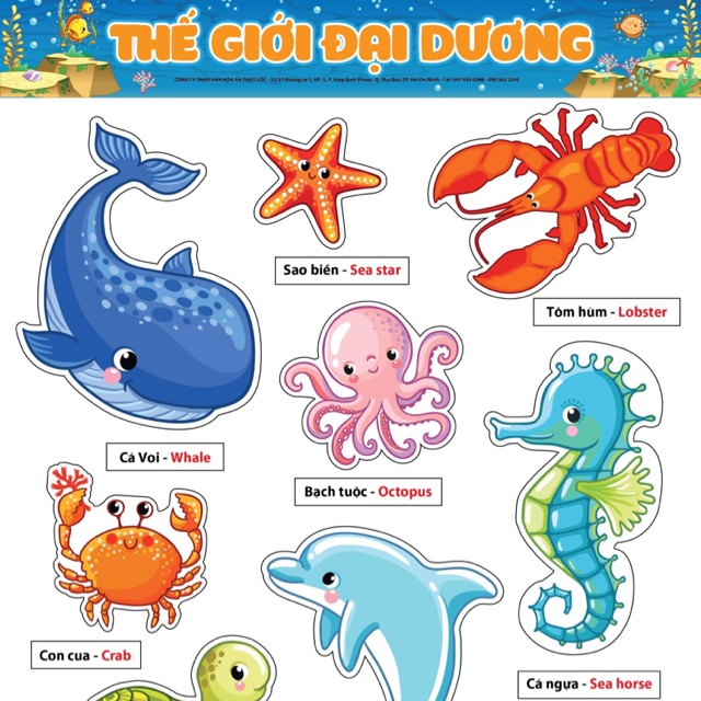 Decal dán - Học tiếng Anh qua hình ảnh - Thế giới đại dương