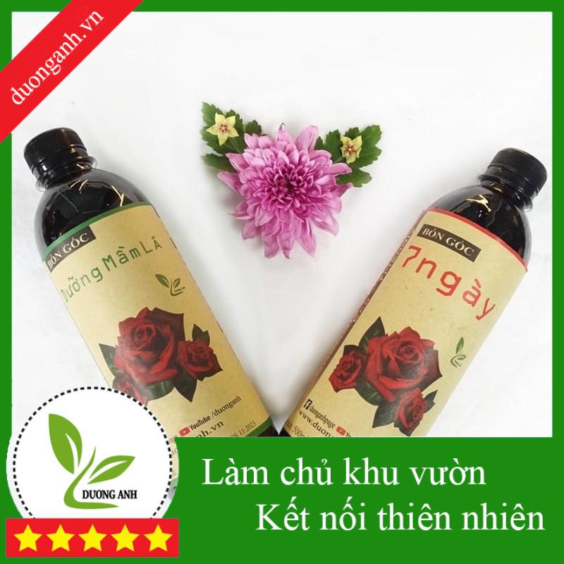 Phân hữu cơ 7 ngày và dưỡng mầm lá cho hoa hồng dạng nước giảm thời gian chăm sóc cây