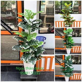 Cây trầu bà giả 1m2 - Cây lá rùa giả, cây giả trang trí