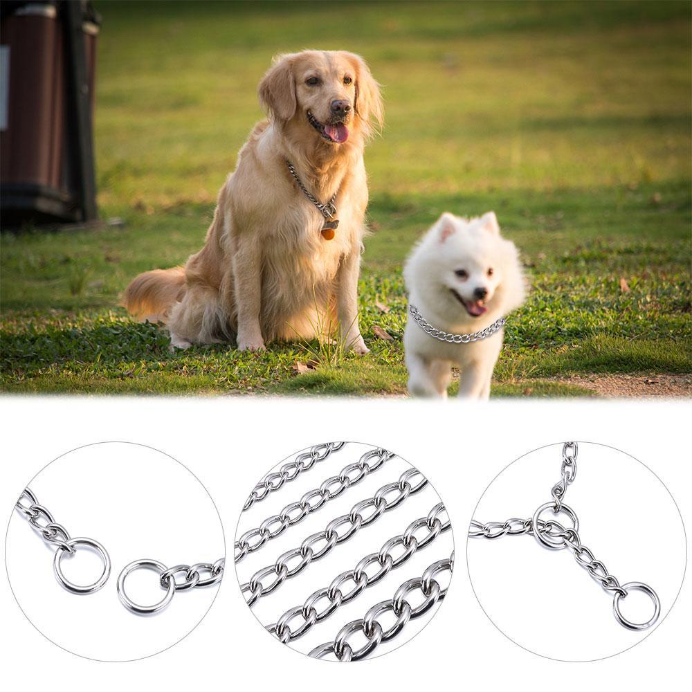 Vòng Cổ Bằng Thép Không Gỉ Chống Trượt Cho Thú Cưng