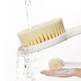Bàn Chải Chà Lưng Tay Cầm Dài