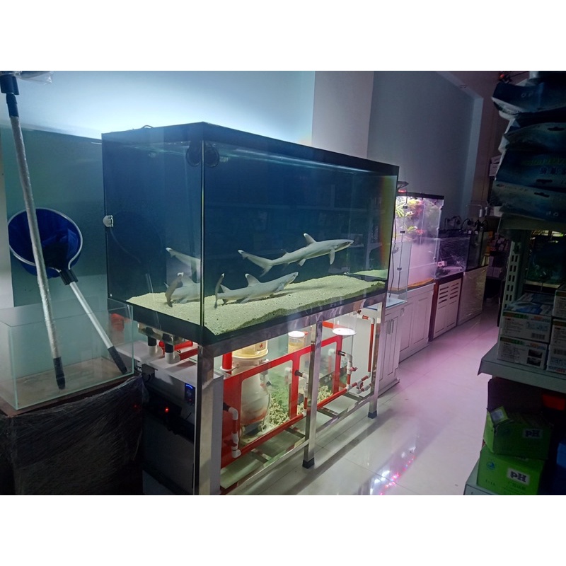 Muốí biển Ocean Master - 6.7kg