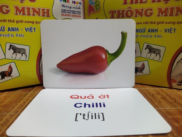[XẢ KHO] Bộ Thẻ Học Thông Minh 18 Chủ Đề TGXQ Loại To song ngữ A-V loại chuẩn Glenn Doman Flashcard cho bé từ 0-6 tuổi