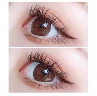 [Kính Áp Tròng] Choco Đủ Độ Giãn