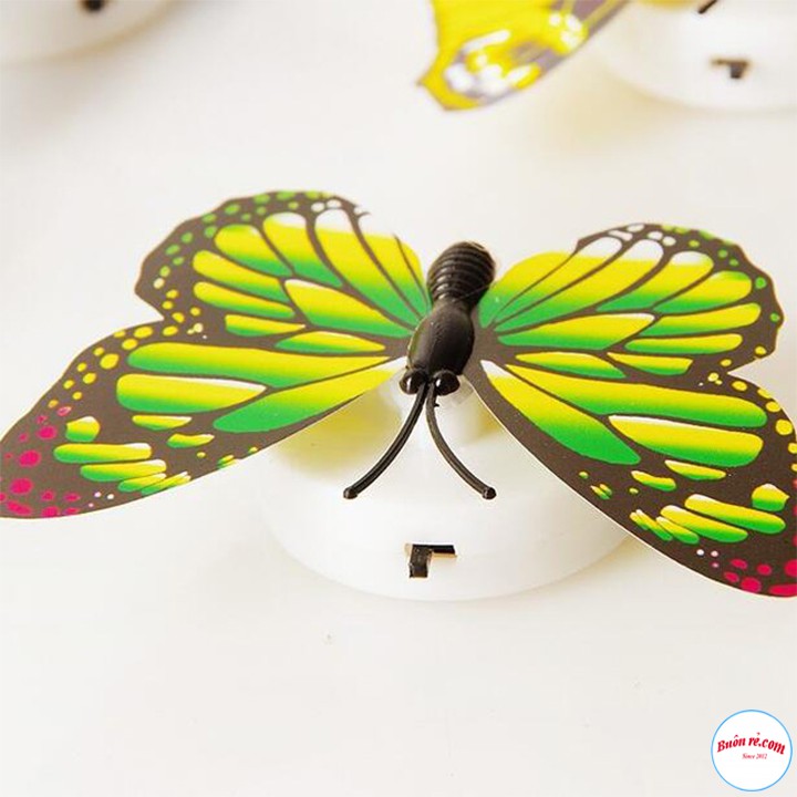 Mô Hình Bươm Bướm Tích Hợp Đèn LED Trang Trí Không Gian Độc Đáo Hot hit - br00597 | BigBuy360 - bigbuy360.vn