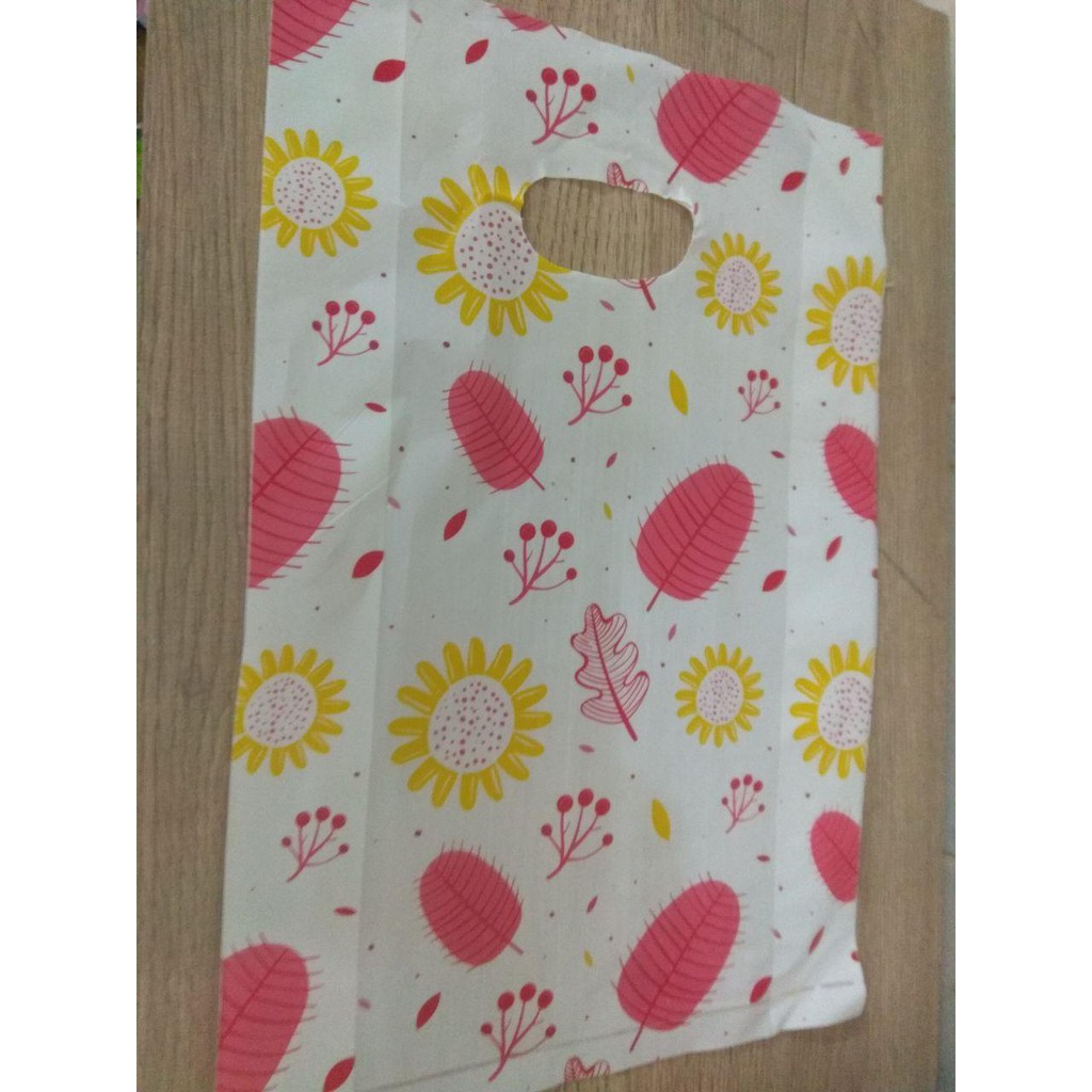 TÚI XỐP HỘT XOÀI IN HÌNH - GIÁ RẺ