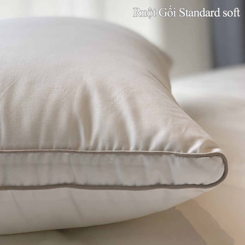 Ruột gối Everon Standard soft (vừa, cao)