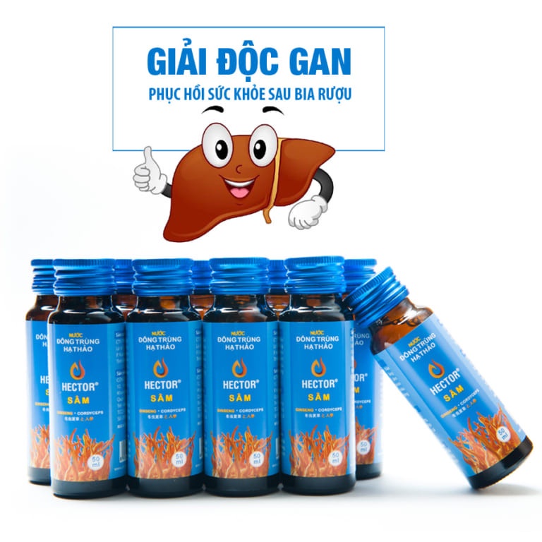 (Chai dùng thử) Nước Đông Trùng Hạ Thảo Hector Sâm Hộp 10 Chai Hector Cordyceps Ginseng