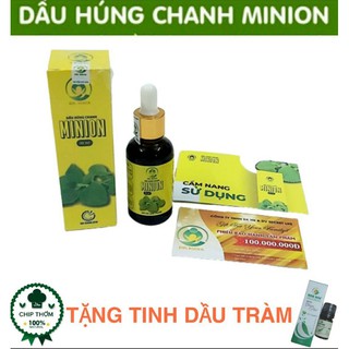 Dầu húng chanh minion - tặng tinh dầu tràm huế