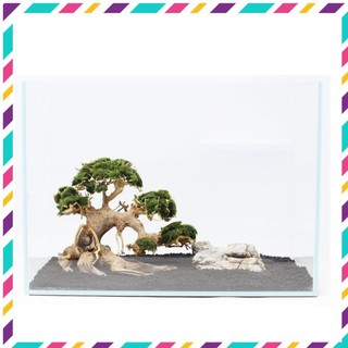 [Siêu Rẻ] Lũa Bonsai mini cho bể cá thủy sinh 25x20