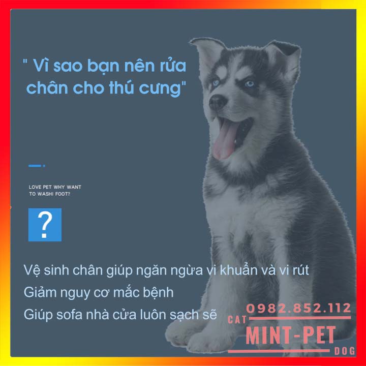 Cốc Rửa Chân Cho Chó Mèo Carno #MintPet