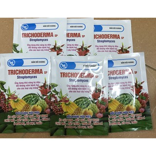 Nấm đối kháng Trichoderma sp Streptomyces