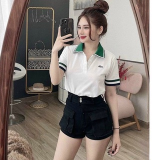 Áo polo nữ trắng cổ xanh, áo thun nữ polo trắng phong cách thể thao