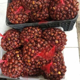 Hạt dẻ Sapa 1kg