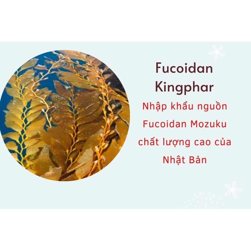 Viên uống FUCOIDAN  Kingphar - Hỗ Trợ Điểu Trị Ung thư (Hộp 30 viên)