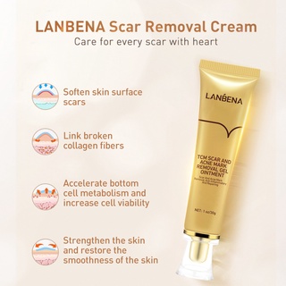 Gel Làm Mờ Sẹo LANBENA Chiết Suất Nhân Sâm